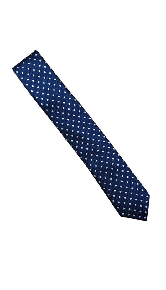 Blue Polka Dot Tie